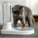 Bebedouro Automático para Gatos