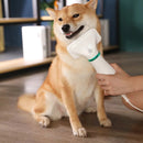 Escova e Secador Pêlo Animal